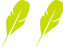 star-feather-gp