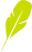 star-feather-gp